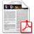 PDF Icon